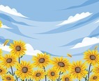 Beautiful Sunflower Background
