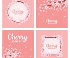 Cherry Blossom Card Set