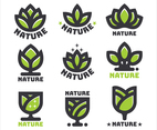 Natural Logo Concept