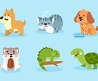 Collection of Different Pets