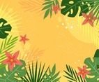 Summer Tropical Background