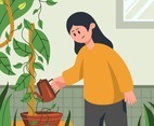 Watering Plants at Home