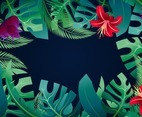 Tropical Flowers Background