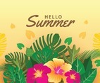 Hello Summer Tropical Background