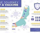 Corona Virus Vaccine Phases Infographics