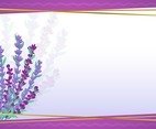 Lavender Flower Background