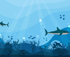 Shark Protection Background