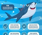 Infographic of Protect the Sharks