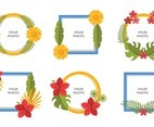 Beautiful Flowery Frame For Your Avatar