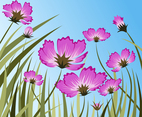 Blooming Flower Background Concept