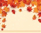 Autumn Season with Light Background