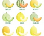 Set of Melon Icons