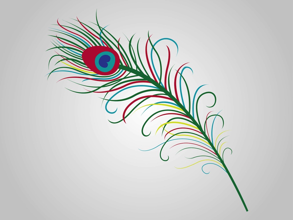 colorful peacock feather drawing