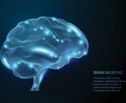 Wireframe Brain Neurons Concept