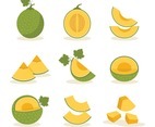 Set of Melon Fruit Icons