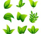 Leaves Icon Collection