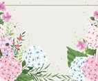 Beautiful Hydrangea Flowers Background