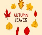 Autumn Leaves Icon Pack