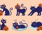 Black Cat Halloween Character