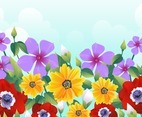 Colorful Flowers with Sky Background