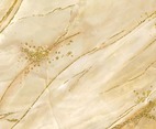 Luxury Beige Gold Marble Background