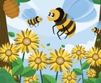 Honey Bee and the Sunflowers