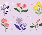 Hand Drawn Flower Collections