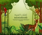 Background of Jungle with Flora And Fauna