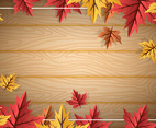 Wood Foliages With Autumn Leaves Background