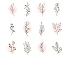 Set of Hand Drawn Floral Logo Elements
