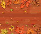 Autumn Wood Foliage Texture with Leaves