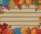 Autumn Wood Foliages Background
