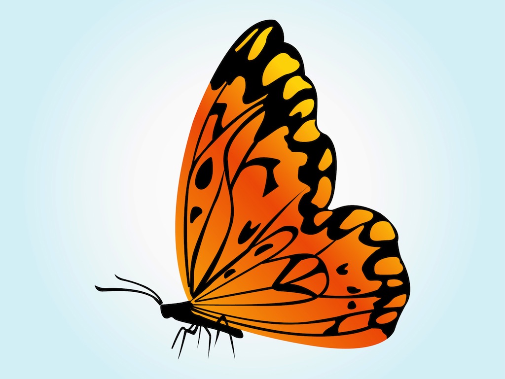 Orange Butterfly Vector Vector Art & Graphics | freevector.com