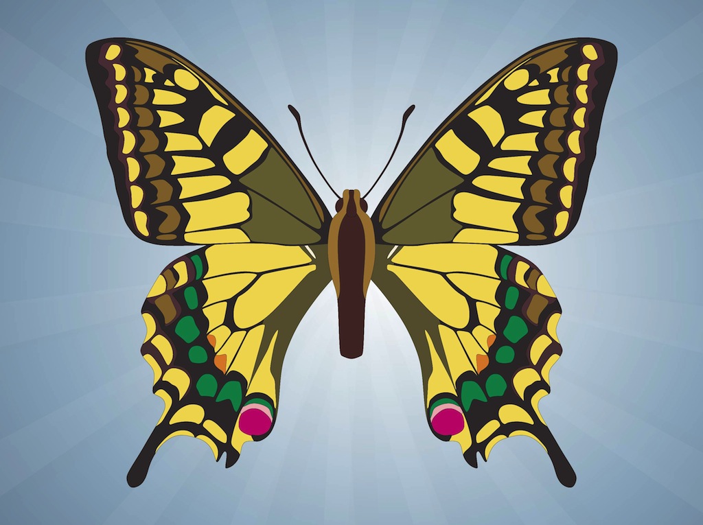 Free Free 247 Butterfly.svg SVG PNG EPS DXF File