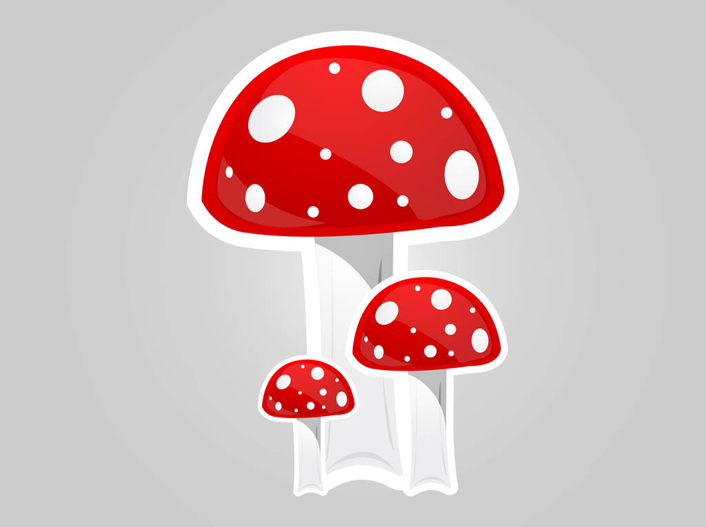 Cartoon Mushrooms Vector Art & Graphics | freevector.com