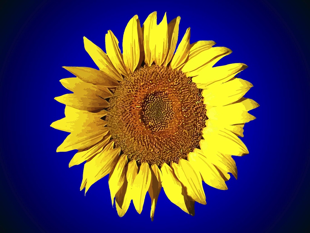Free Free 312 Free Svg Of Sunflower SVG PNG EPS DXF File
