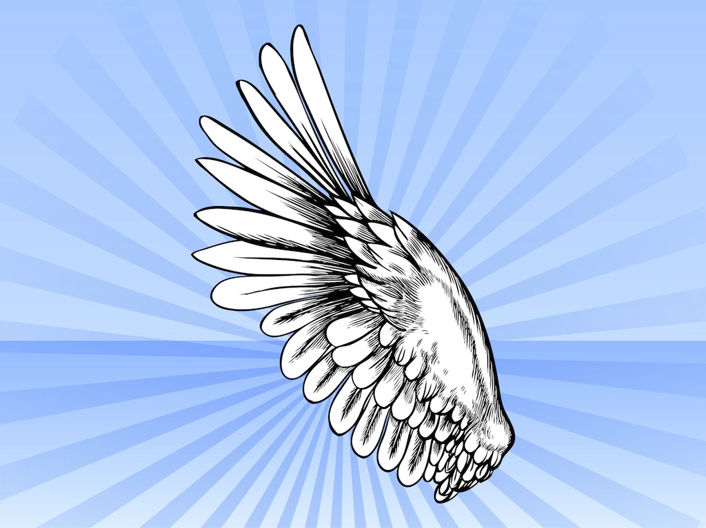 Ðñððððñðµ Rgb Stock Illustration - Download Image Now - Angel, Animal Wing,  Vector - iStock