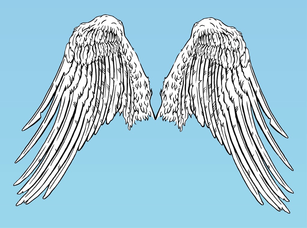 Angel Wings Vector Art & Graphics